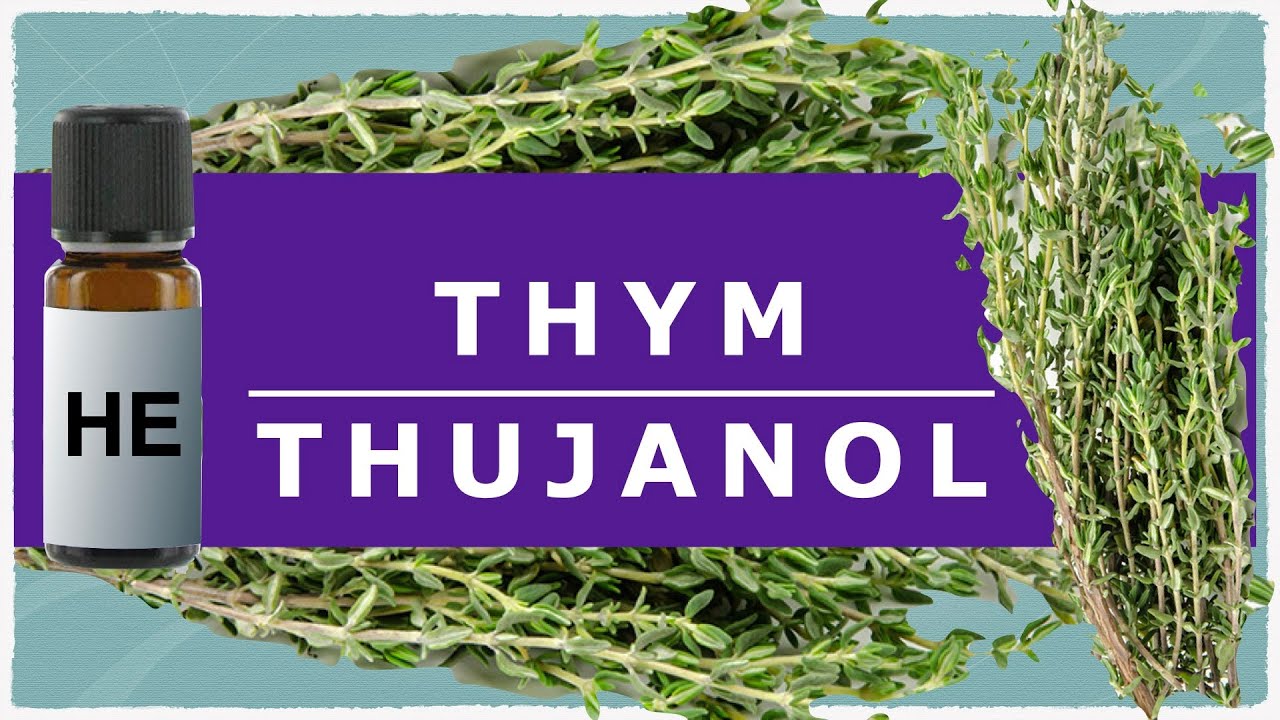 HE de thym à thujanol, l'ingrédient magique de l'aromathérapie