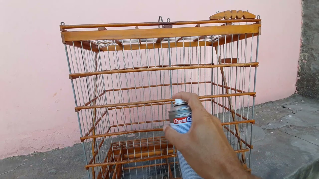 como enverniza gaiola de  galo de Campina sem retirá as talas resultado 100% satisfatório