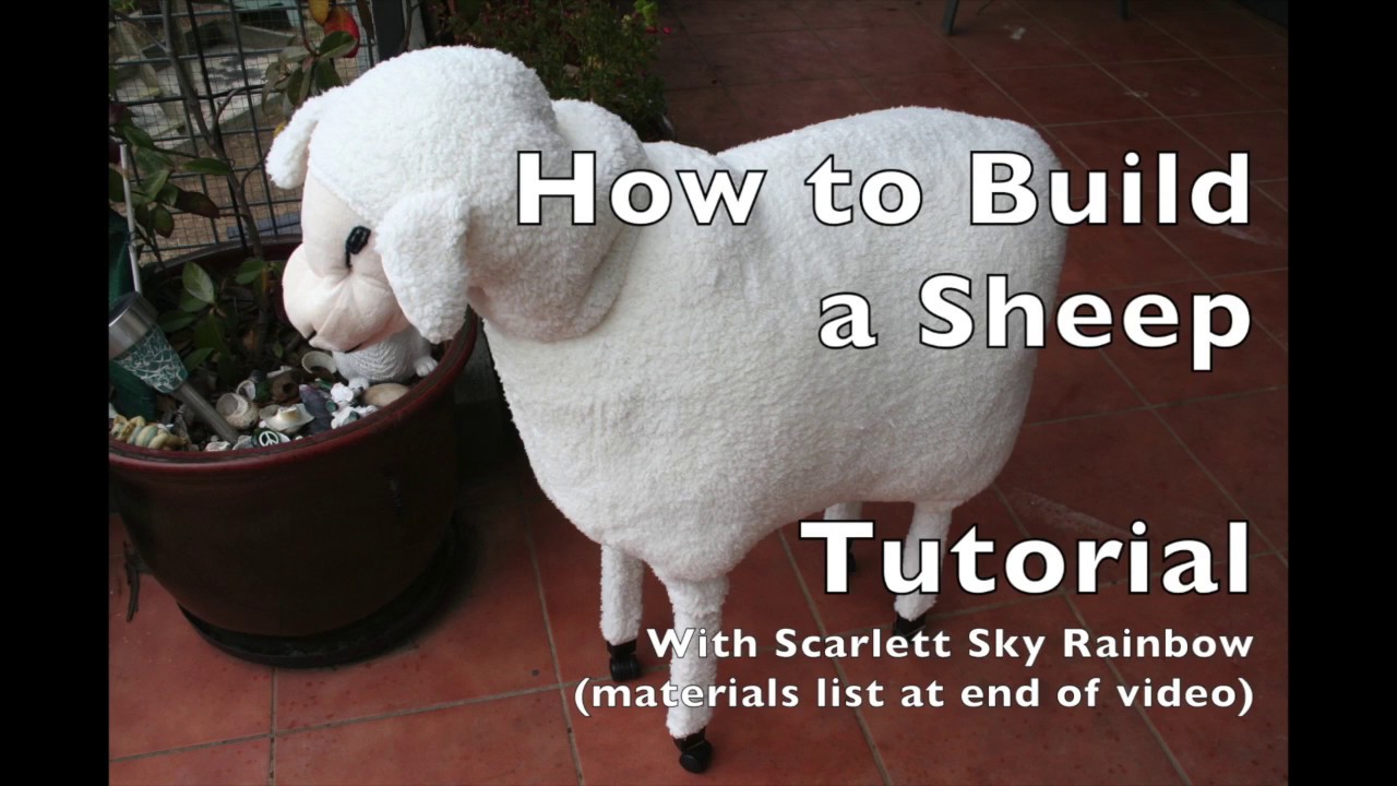 Build a Sheep
