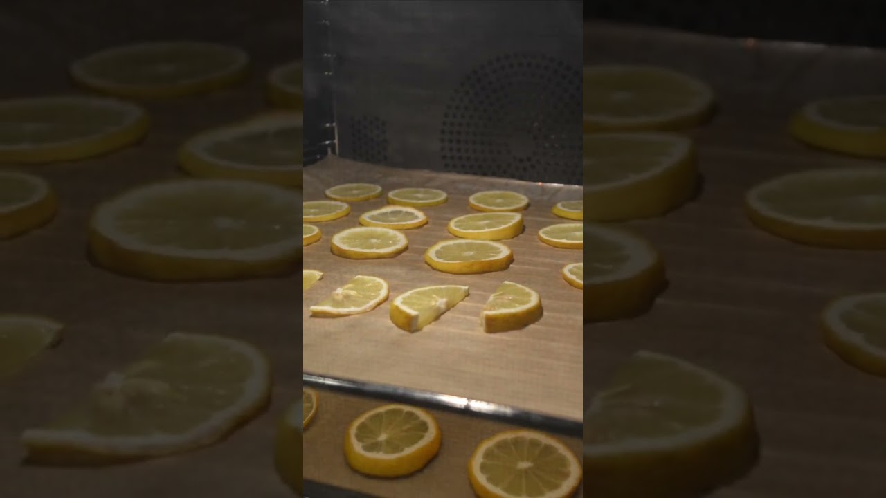 🍋 Citrons 🍋 s&eacute;ch&eacute;s pour les cocktails