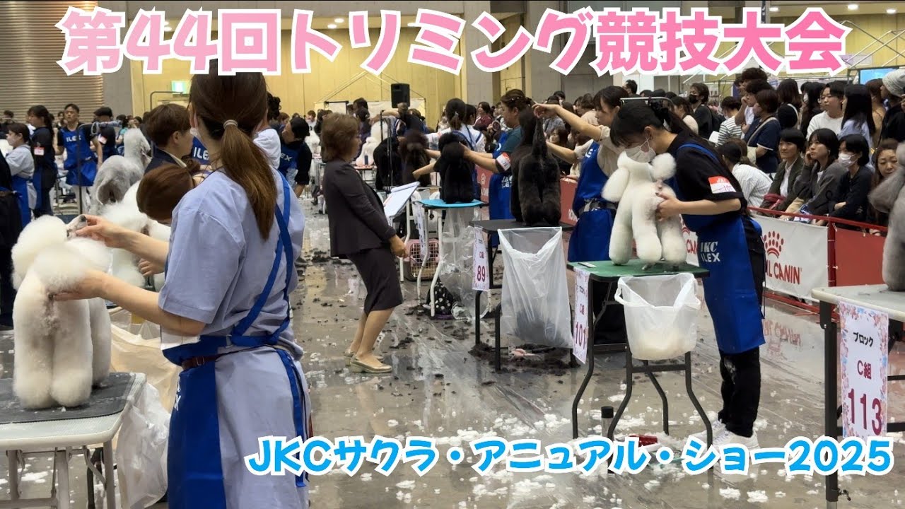 第44回トリミング競技大会とJKCサクラ・アニュアル・ショー2025