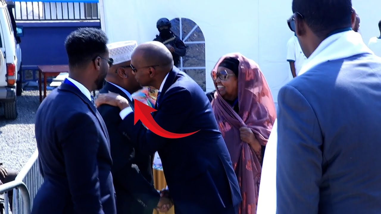 FIQI & KHEYRE 