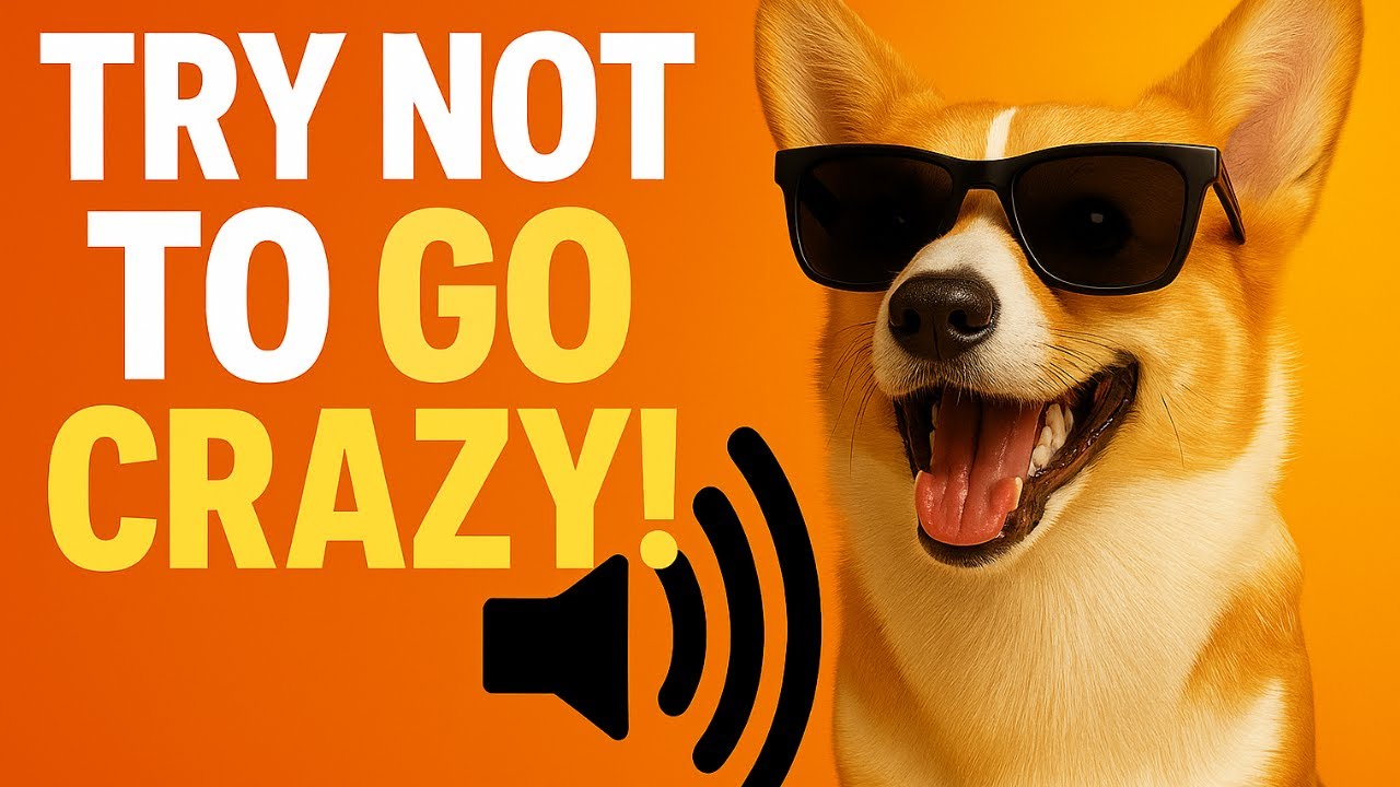 Play These 34 Sounds for Your Dog and Watch Their Reaction! 🔊🐾