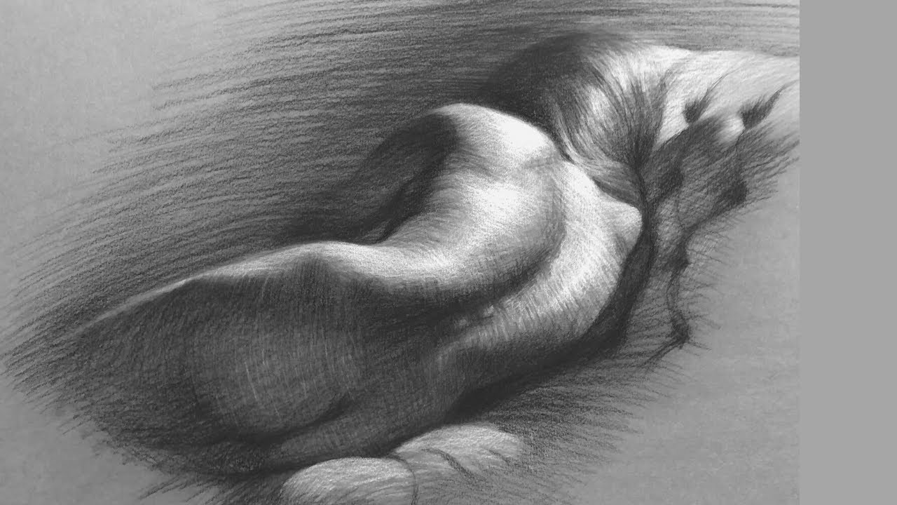 My Flexible Charcoal Life Drawing Method
