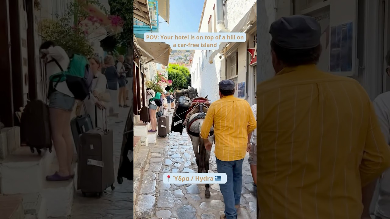 NO CARS on Hydra?! Meet Your Luggage Donkey 🫏🇬🇷 (Would You Trust It?) #greece #hydra #travel