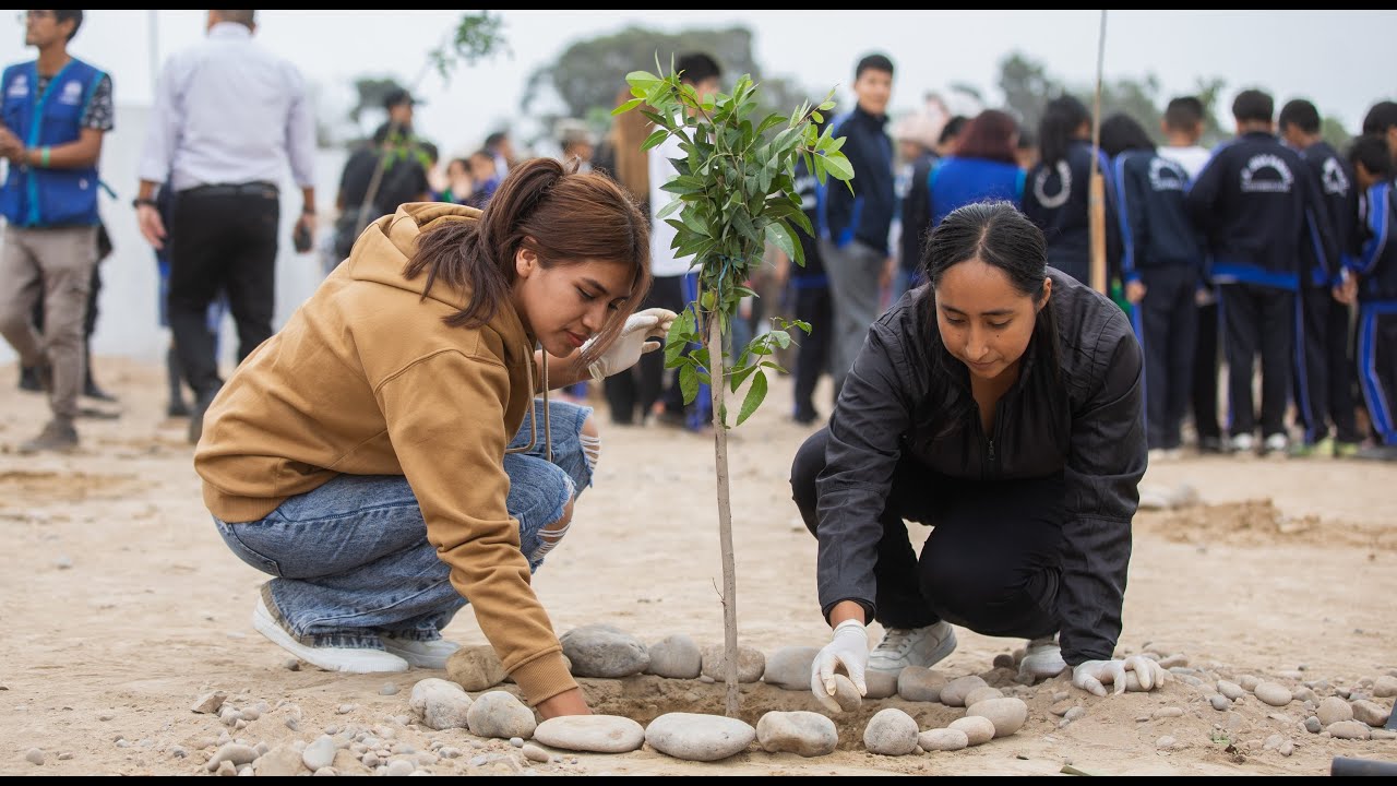 Presentación del nuevo aplicativo Voluntarios por Lima