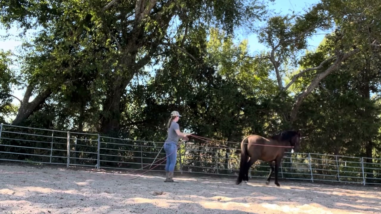 It’s Not about the Exercise…