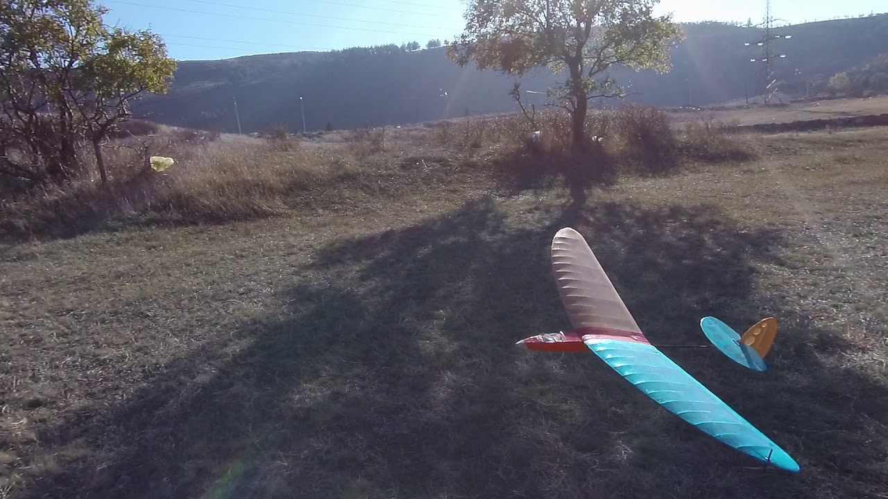 RC Bug DLG