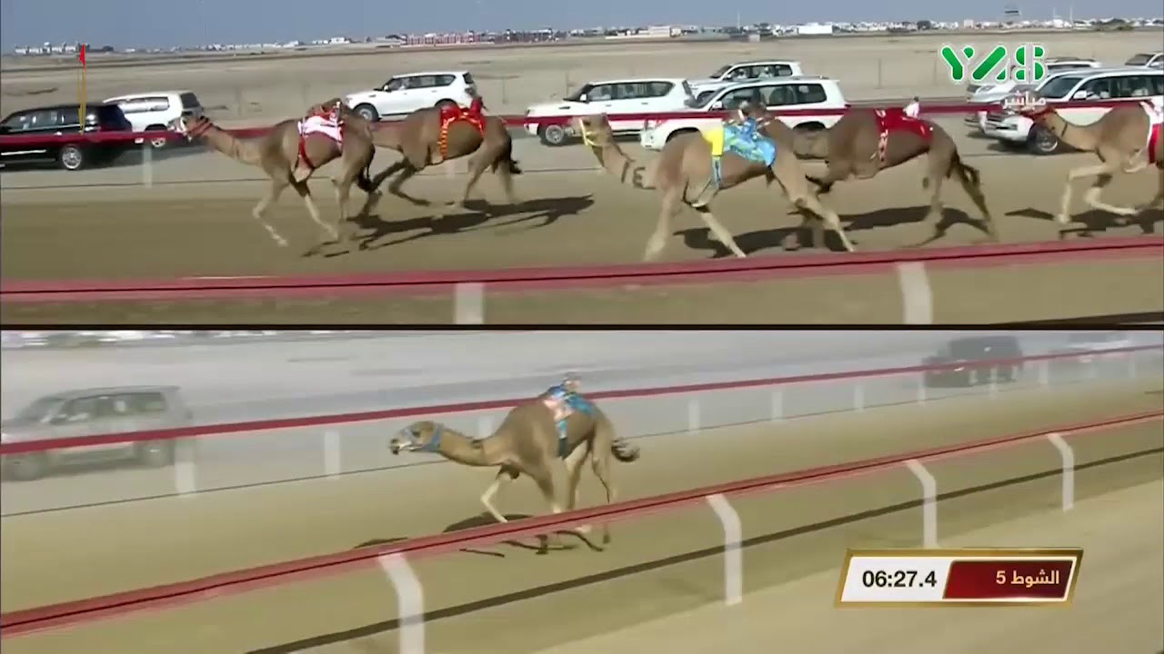 جائزة زايد الكبرى - حول وزمول- الوثبه 10-12-2018 م ش5 شواهين لـ سالم حمد نهيّان العامري 12:34:5
