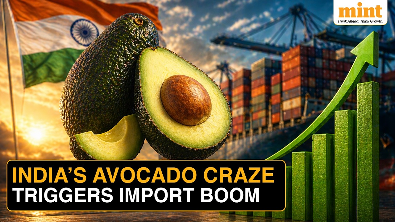 $42M In 2 Years: How Did India&rsquo;s Avocado Imports Suddenly Tripled In 2 Years? | Explained