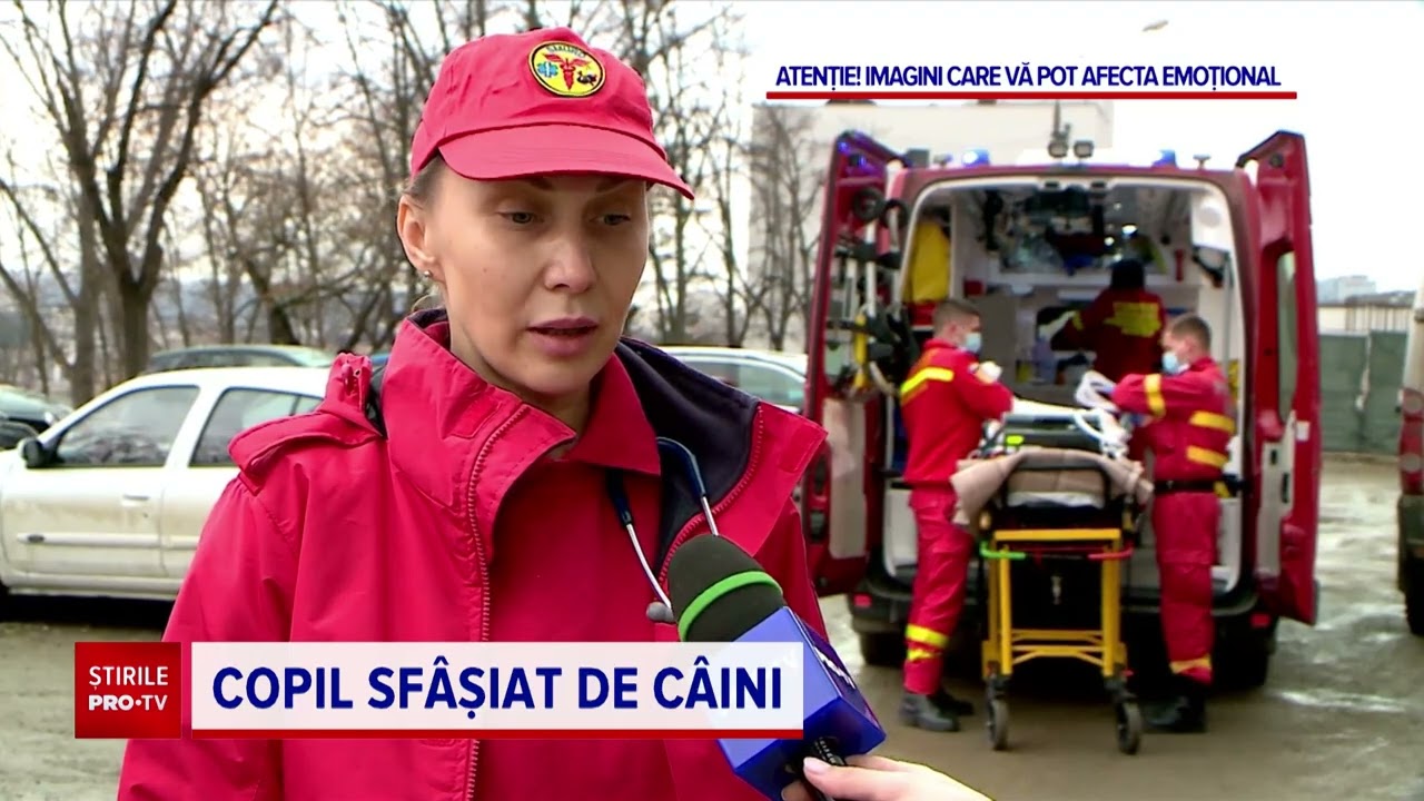 Copilul mușcat de câini în Botoșani, salvat de mama lui: 