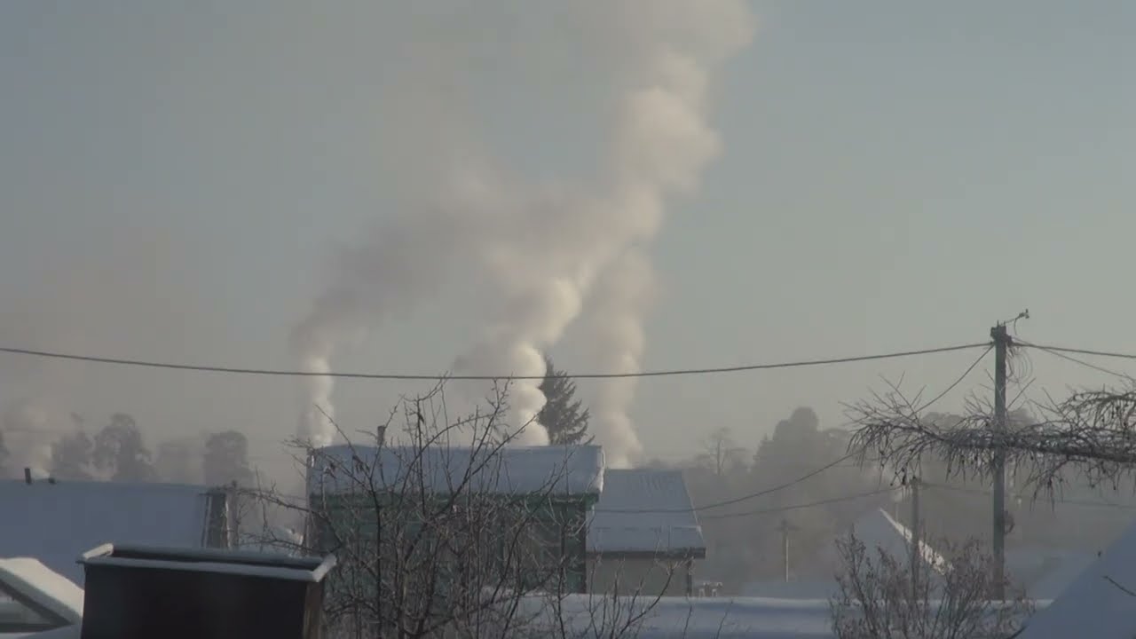 Морозы немного отпускают. Размножение попугаев.