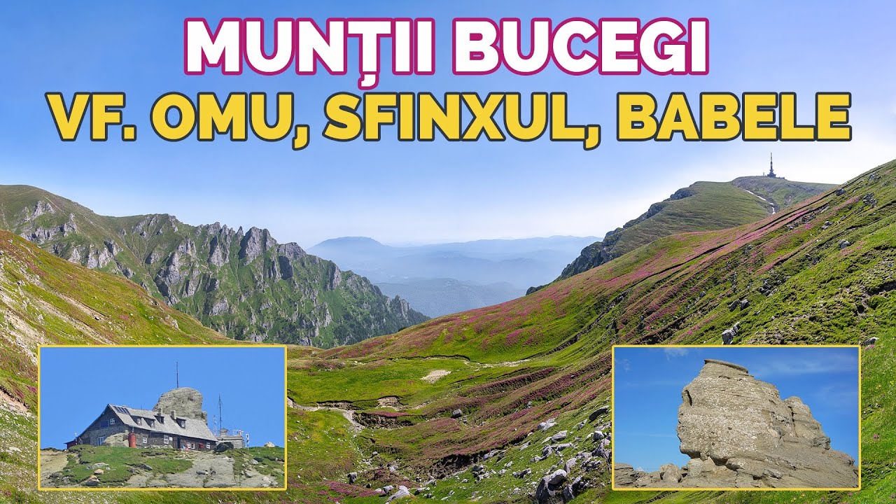 Munții Bucegi 🏕️- pe Vârful Omu, Bucura Dumbravă, Capul Morarului | Sfinxul, Babele | Rhododendron 🌸