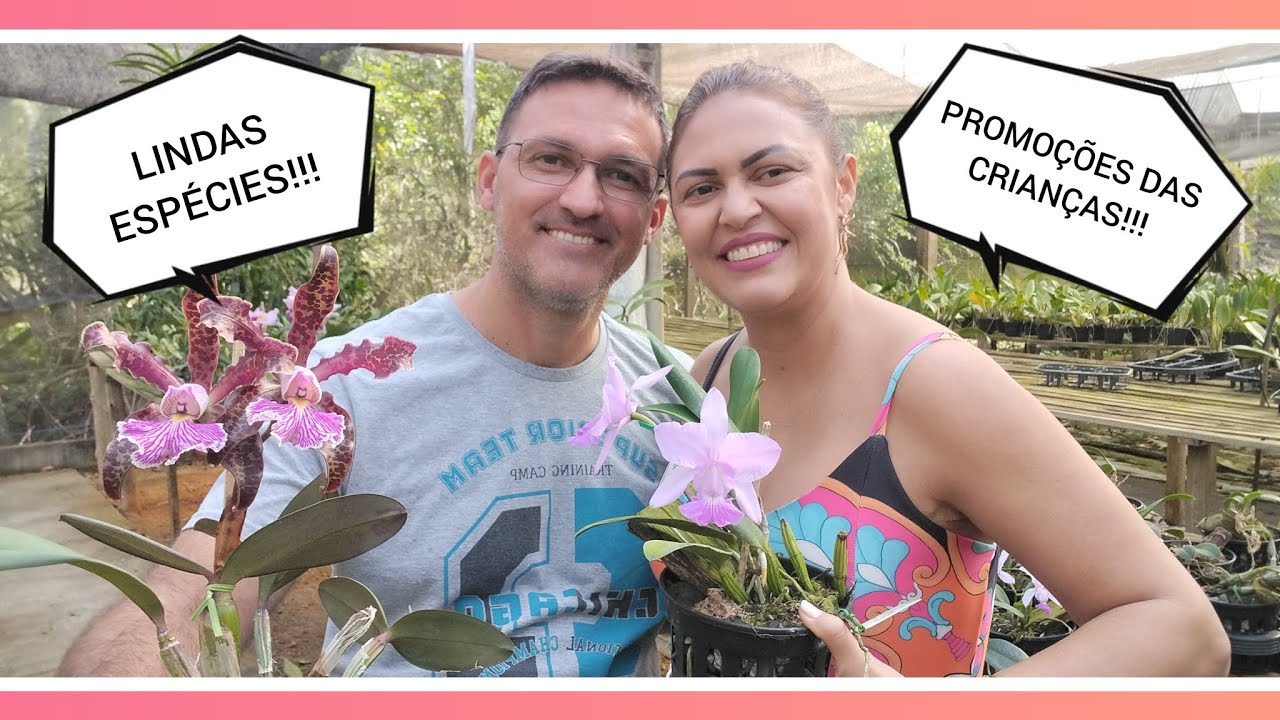 Orquidário Monte Negro - Promoções das crianças com lindas orquídeas!!!