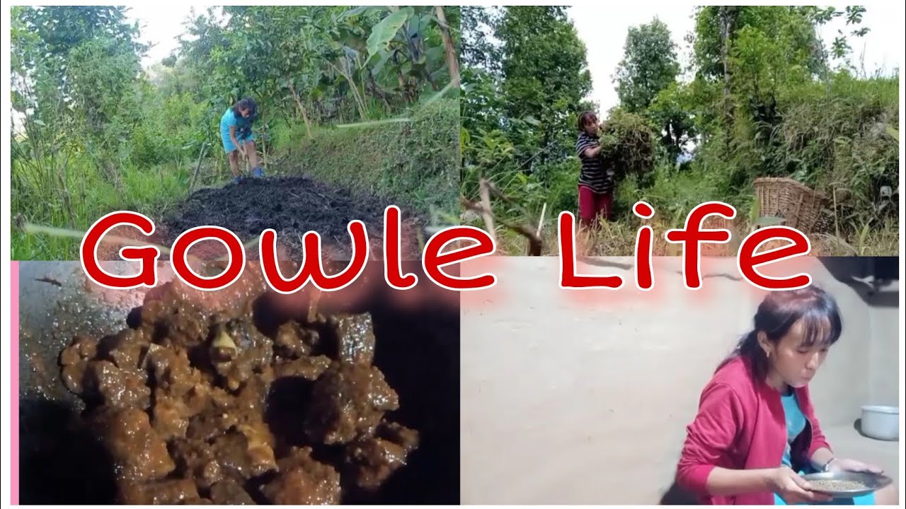 Natural Life: Gow 🏘️🏘️Gar Ko Kam (part2).