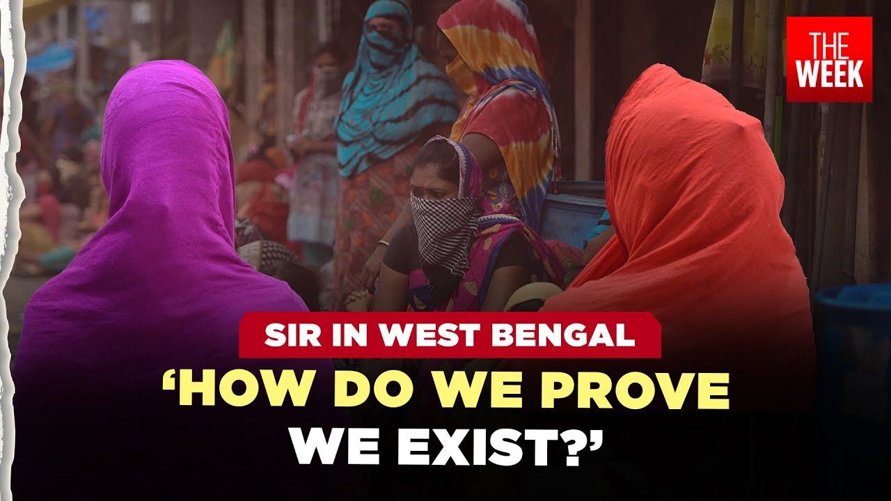 Why has West Bengal SIR 2.0 traumatised Sonagachi's sex workers? | Special Report