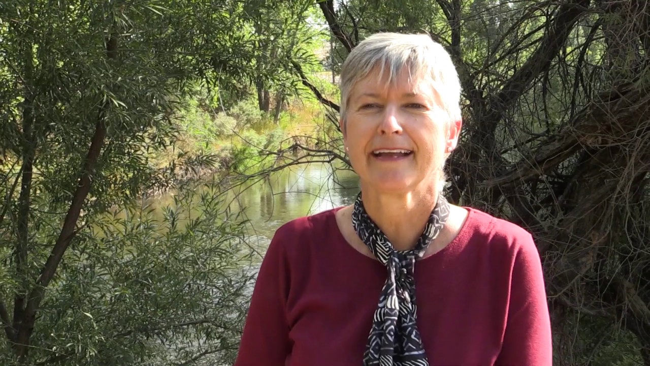 Stormwater Program w/ Janine Hegeman | Town of Windsor Inside Look