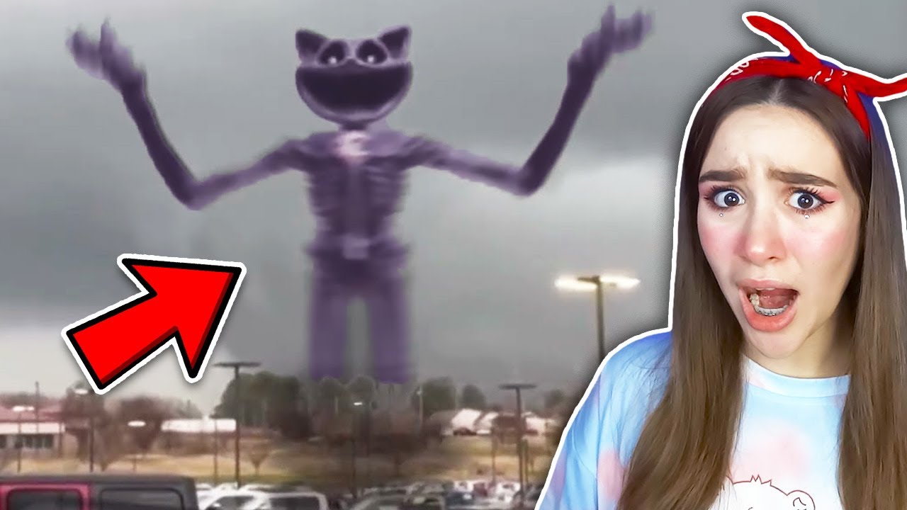 Я НАШЛА КЭТНЭП В РЕАЛЬНОЙ ЖИЗНИ! 😱 POPPY PLAYTIME 3 ГЛАВА
