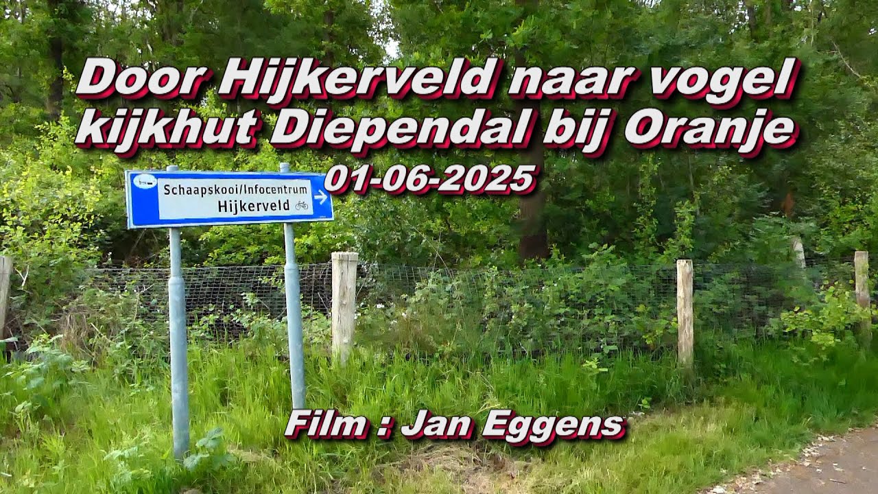 Door Hijkerveld naar Vogelkijkhut Diependal bij Oranje 01 06 2025