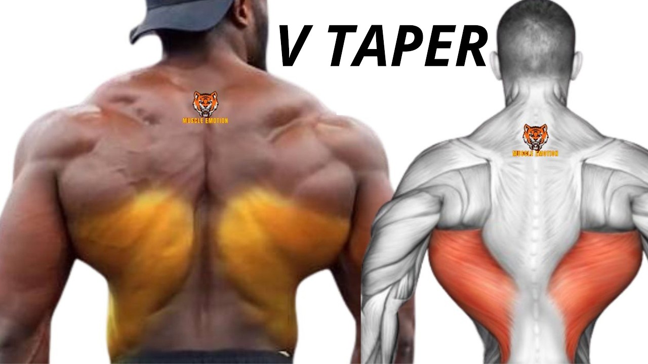 You just need these 13  exercises to get a wide back