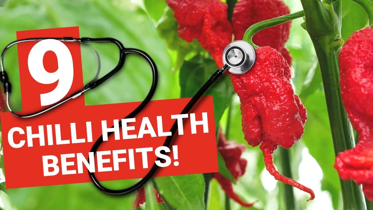 9 Incredible Health Facts About Chilli Peppers