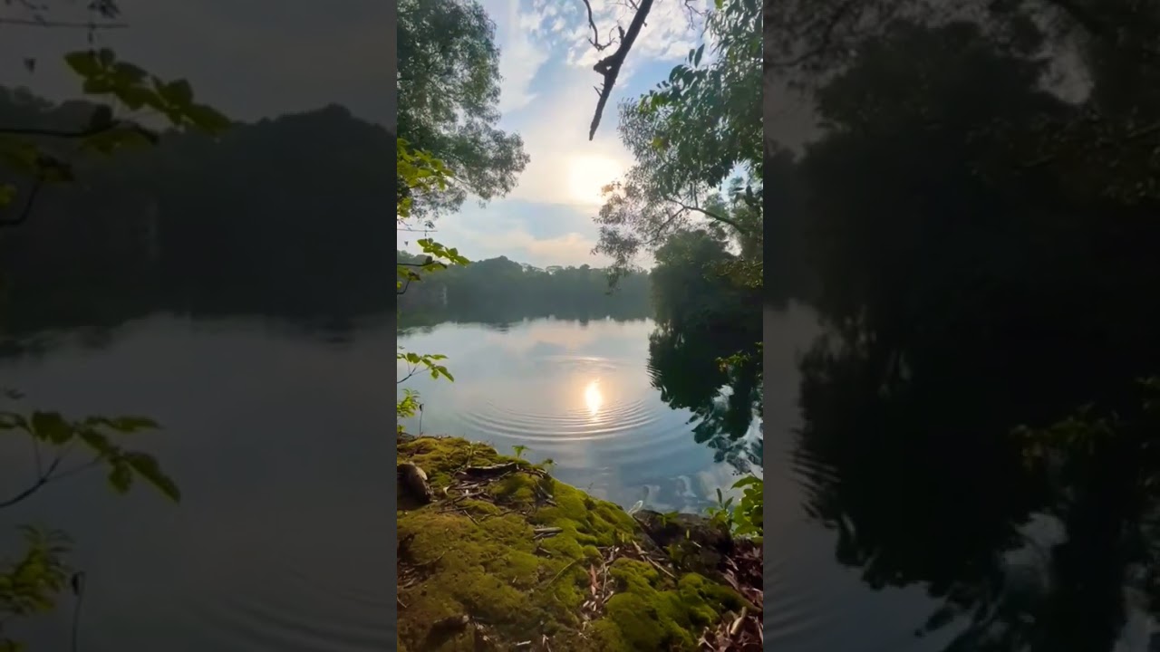 Nature's Mirror: Captivating Ripples 