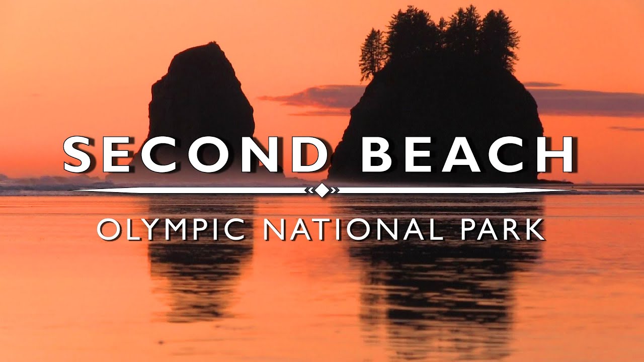 Second Beach, Olympic National Park, La Push - Washington State