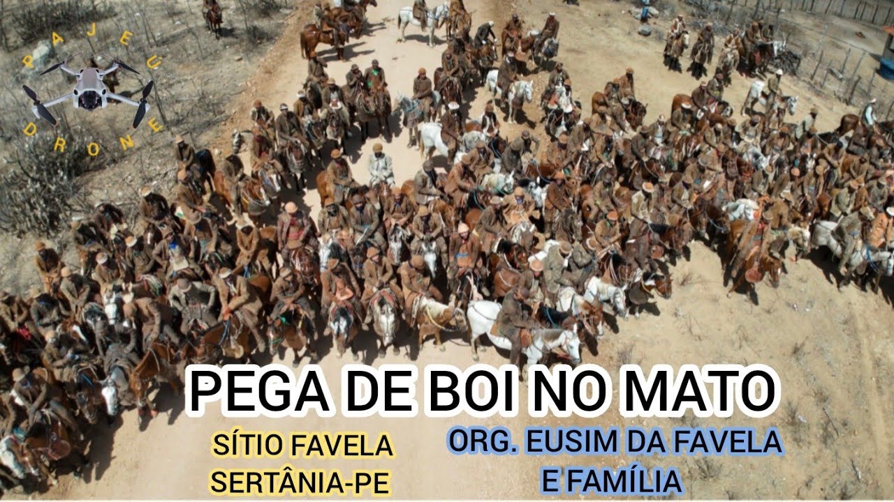 (DRONE)PEGA DE BOI NO MATO SÍTIO FAVELA SERTÂNIA-PE ORG. EUSIM DA FAVELA E FAMÍLIA 