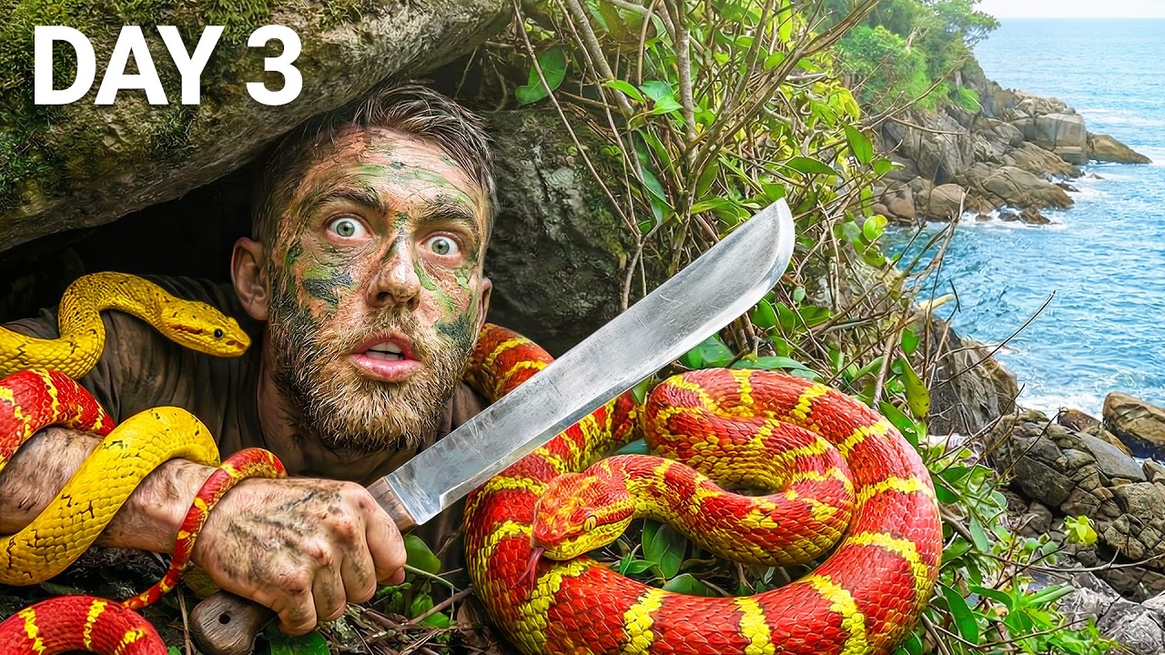 Hide & Seek on Snake Island