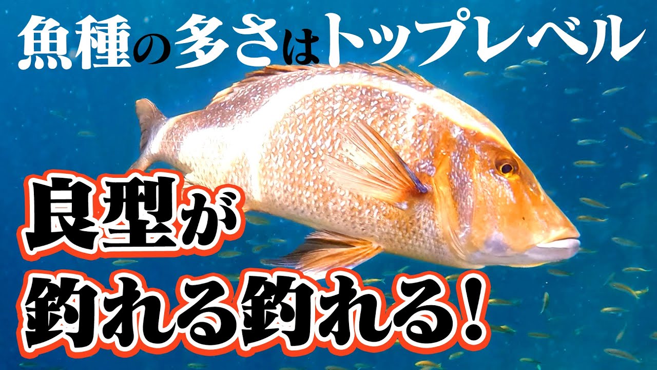 城島健司・小林一史　五島列島スルスルスルルー 【後編】
