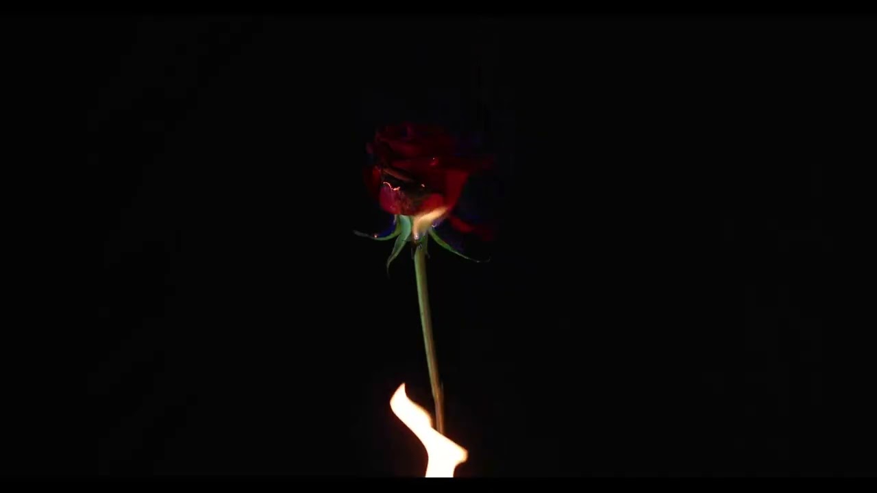 Clap clap ‐ J'ai  écris sur la tromperie de mon ex