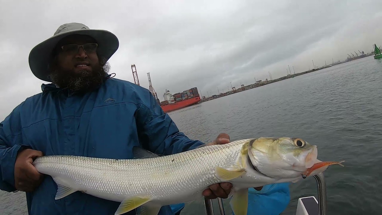 Mo’s Springer Fish on Steroids – Durban Harbour Dropshot