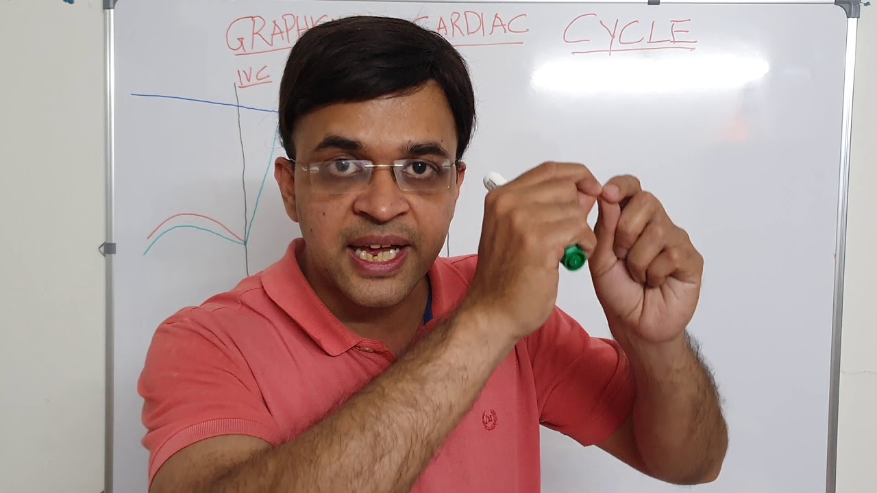 GRAPHICAL REPRESENTATION OF CARDIAC CYCLE