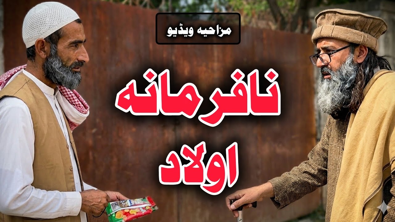 Nafarmana Owlaad | Pashto Funny Video | Pashto Comedy Video By BD Vines 2026 #bdvines 
