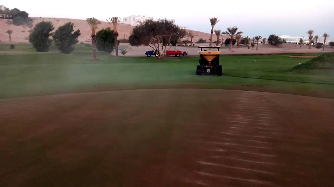 Light topdressing with Vicon