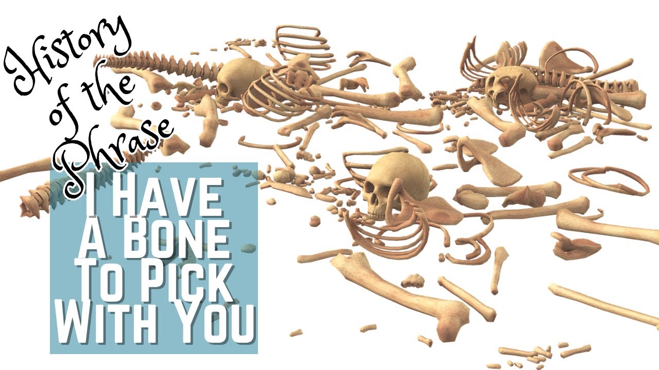 I Have a Bone to Pick with You -Idioms | History of the Phrase with Meanings