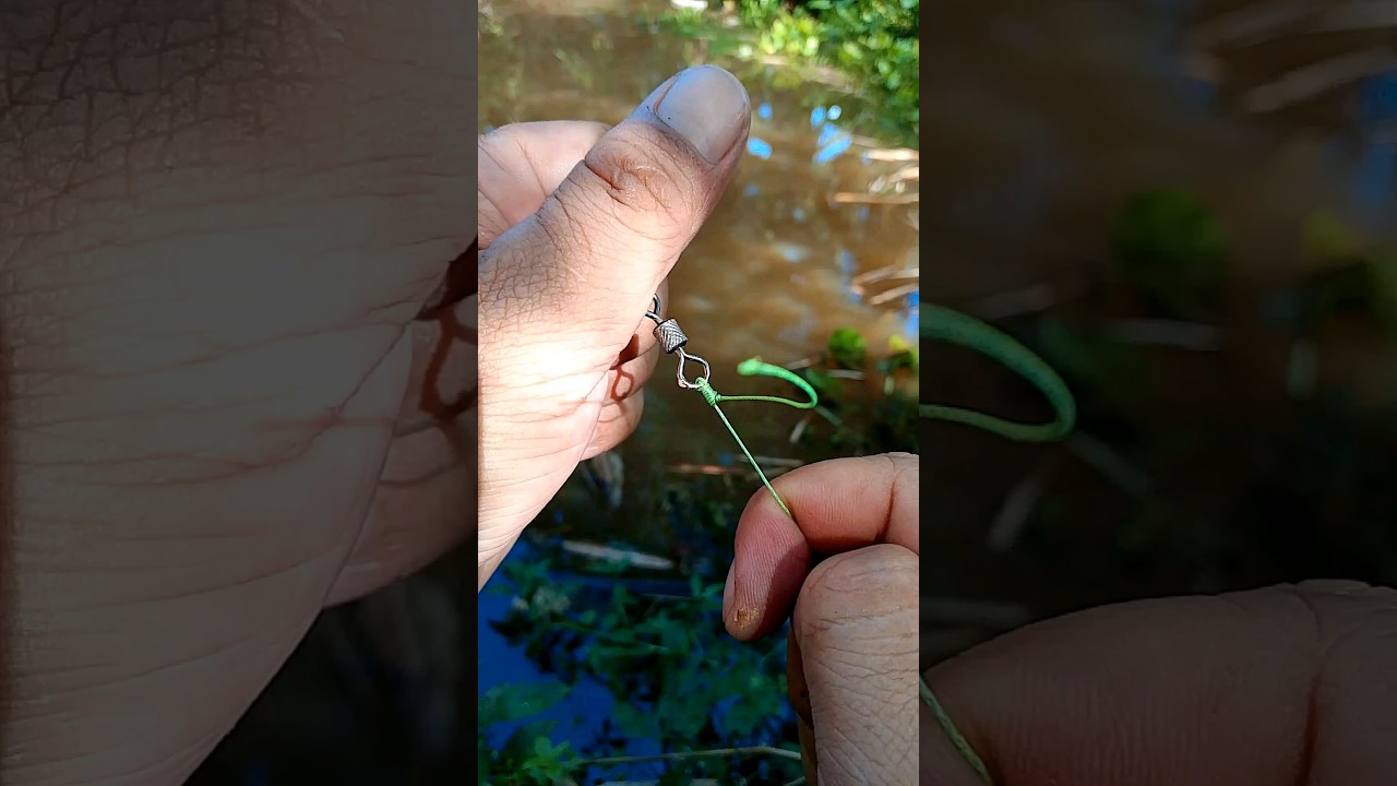 how to tie a perfect fishing Knot for swivel #fishing #fishingknot #swivel #tutorial #tips