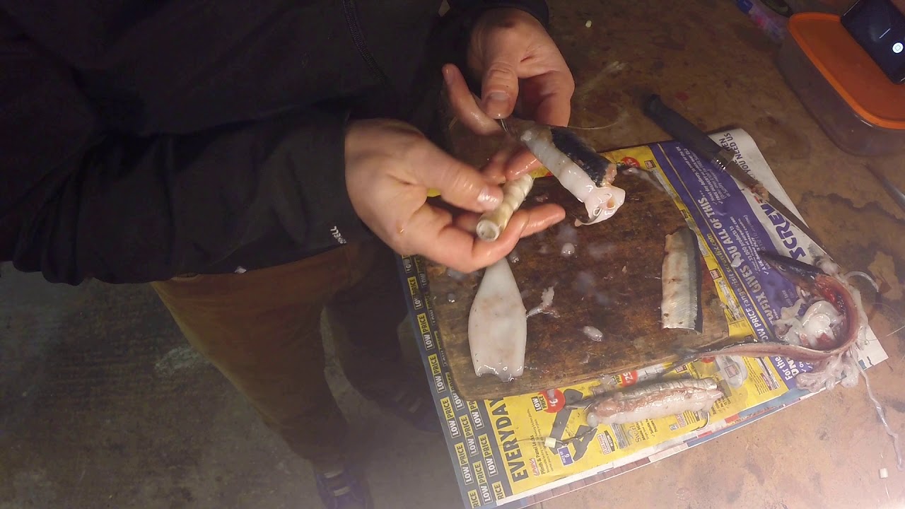 Bait for ray - preparation