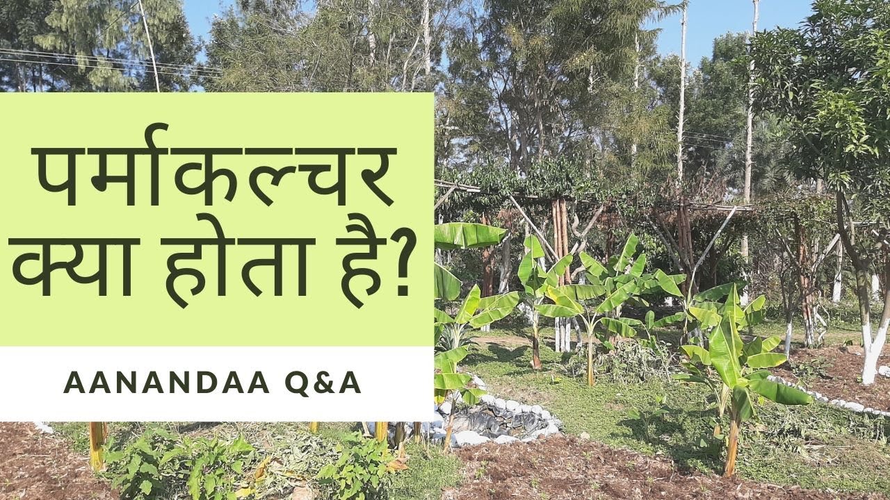 QnA | पर्माकल्चर क्या होता है? (हिन्दी में)/What is Permaculture? (ENGLISH SUBTITLES)