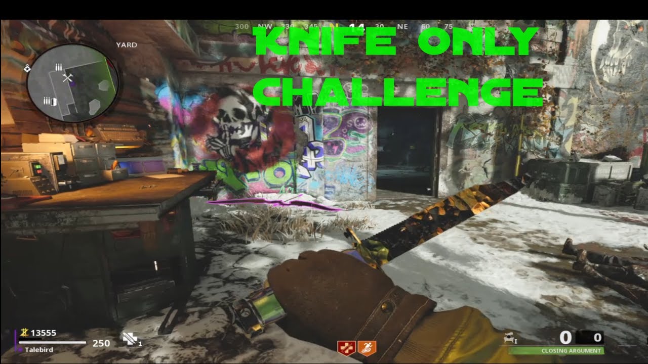 Call of Duty Black Ops Cold War Zombies - (2 Player) Knife Only Challenge