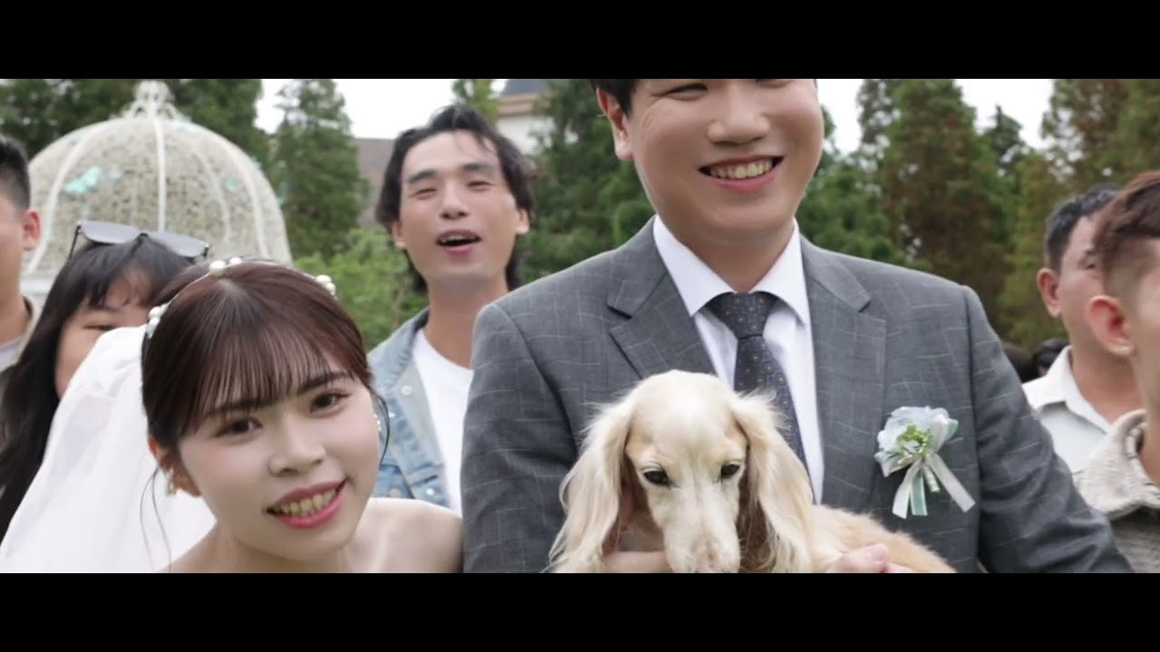 偉倢 ＆昕潼 Wedding Highlight 婚禮錄影 MV 唯愛庭園