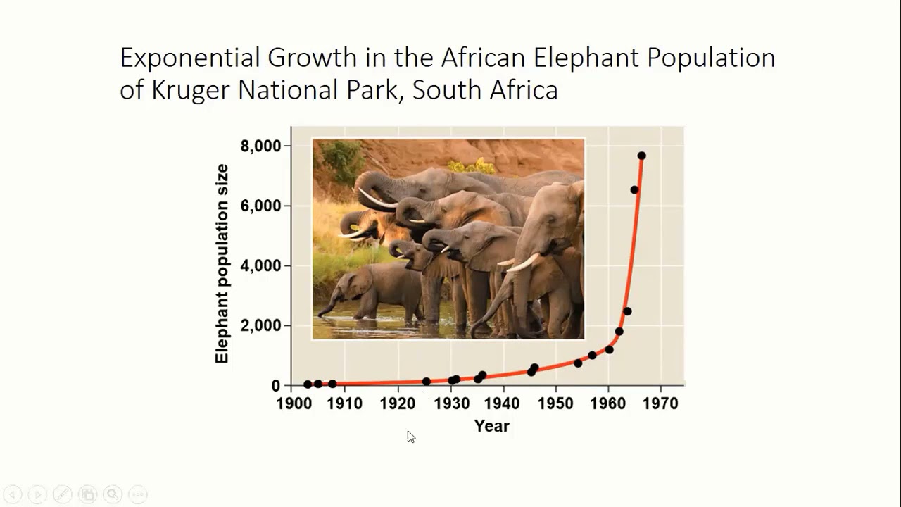 Population Ecology - Growth Models