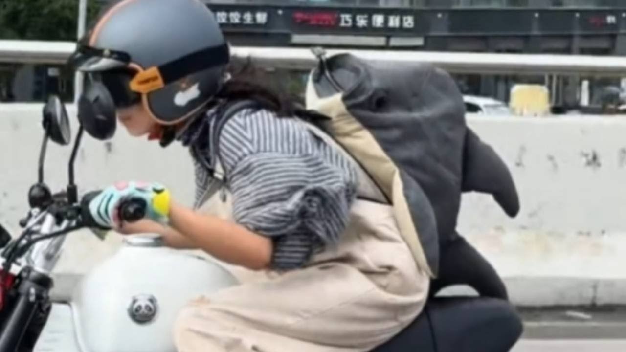 这小电驴也太适合女孩子了，现在拔一拔还能长高一点吗？【小白班长】