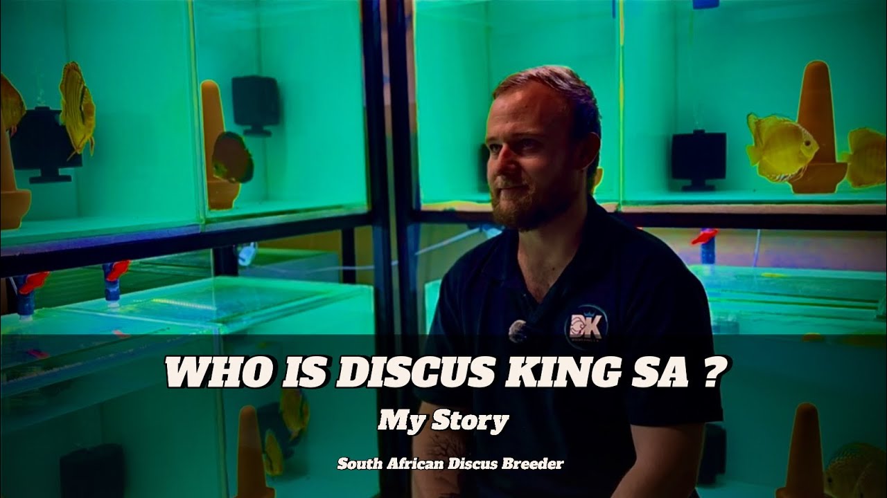 Who is Discus King SA? My Story