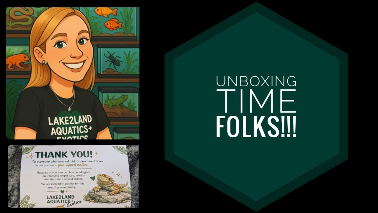 Unboxing my auction box from @Lake2LandAquaticsExotics #Unboxing #WisFishFam #FishTankGoodies