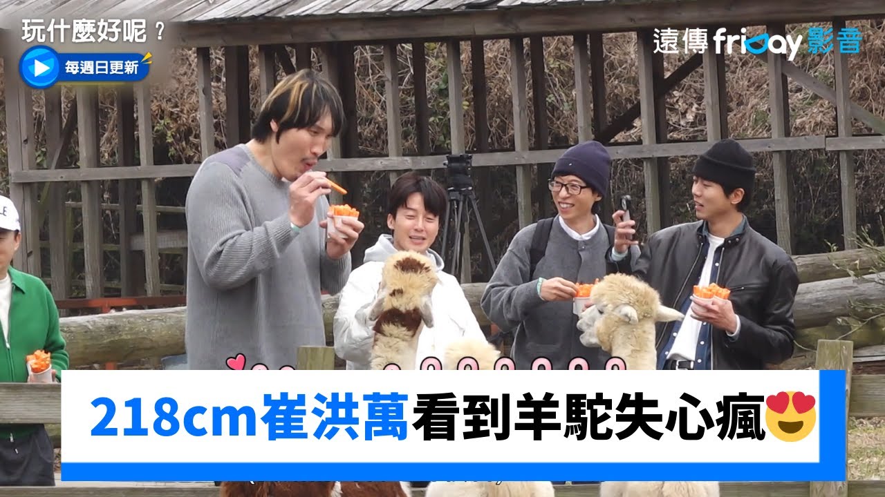 反差萌！218cm崔洪萬看到羊駝失心瘋😍_《玩什麼好呢》第314集_friDay影音韓綜線上看