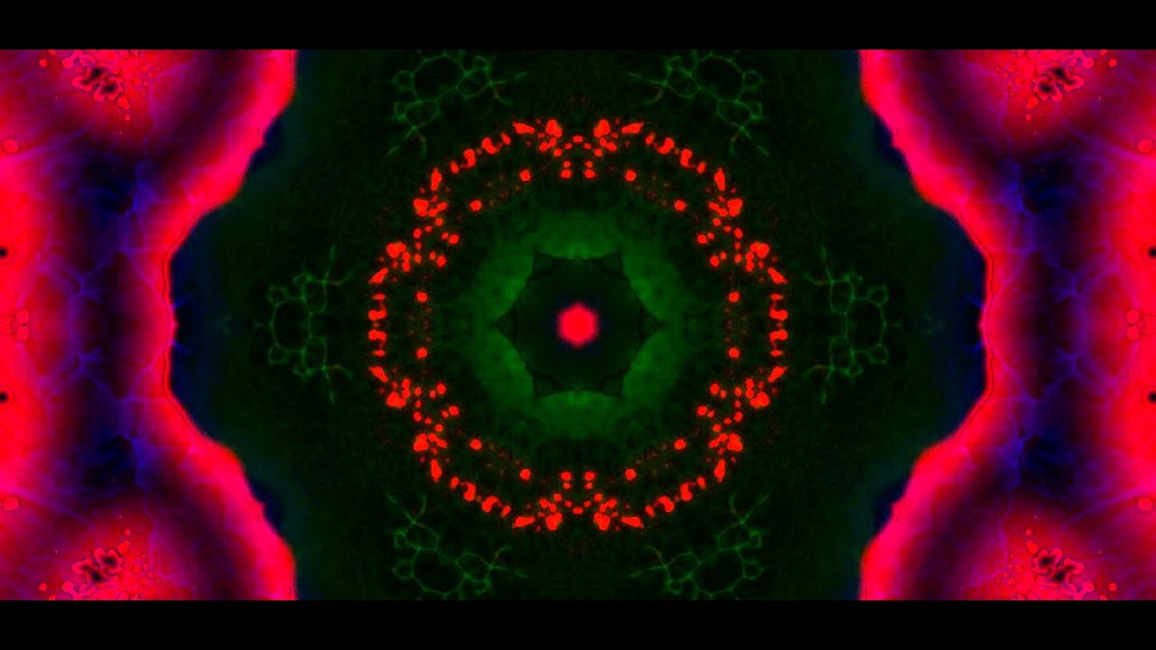 Sula Bassana-In Space