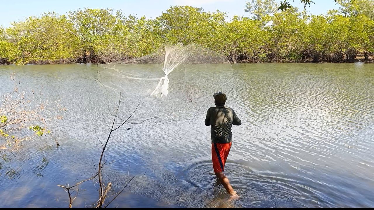 Este pescador sabe muy bien cómo encontrar el pescado cuando está escaso. 