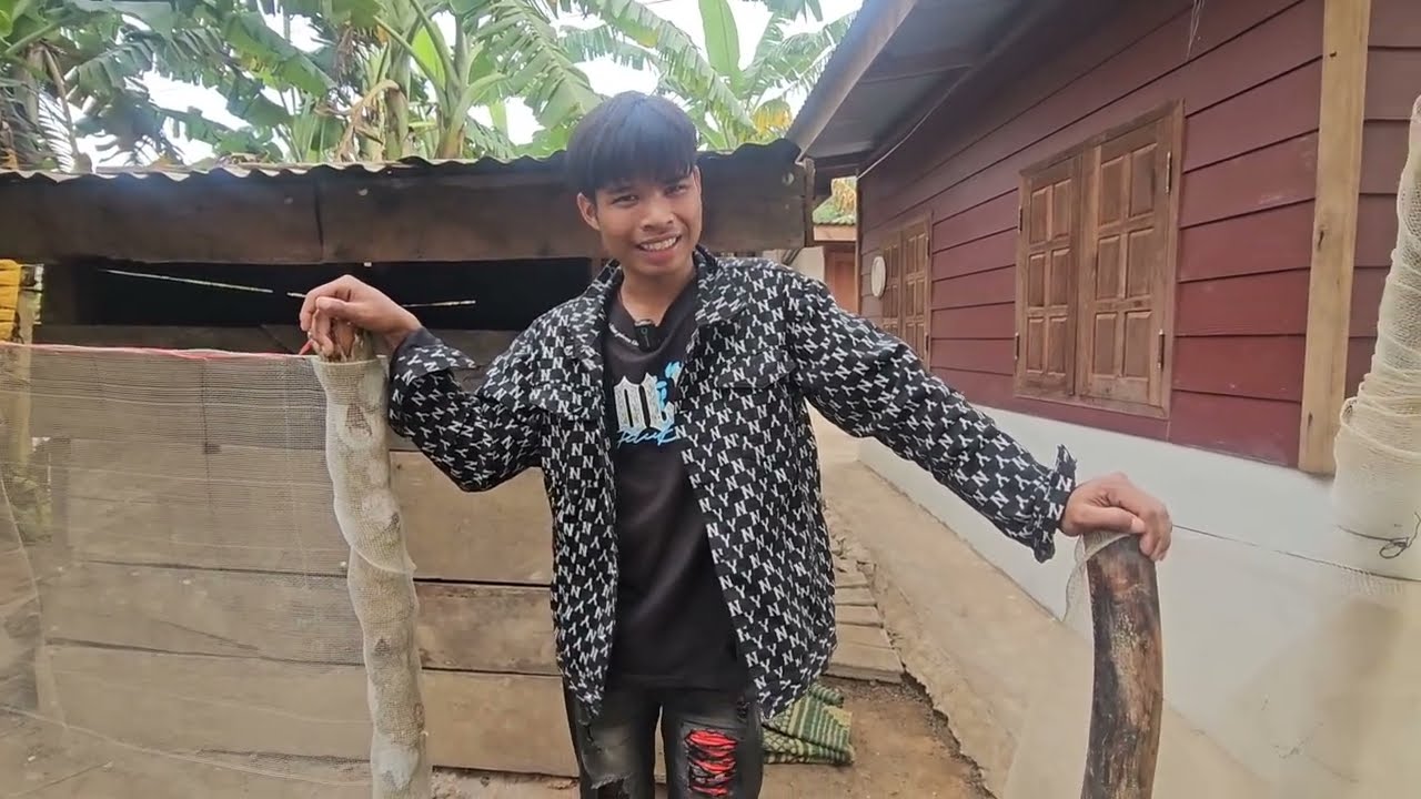 สวนผักน้องศรเริ่มโตแล้ว