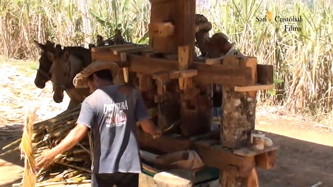 CÓMO FUNCIONA EL TRAPICHE DE MADERA? ACOMPAÑAME A DESCUBRIR LO